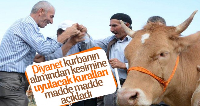 Diyanet, Kurban için randevu alınacak Diyanet, Kurban için randevu alınacak