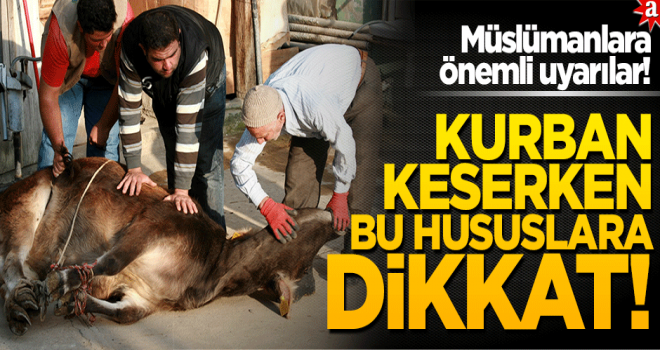Müslümanlara önemli uyarılar! Kurban keserken bu hususlara dikkat Müslümanlara önemli uyarılar! Kurban keserken bu hususlara dikkat