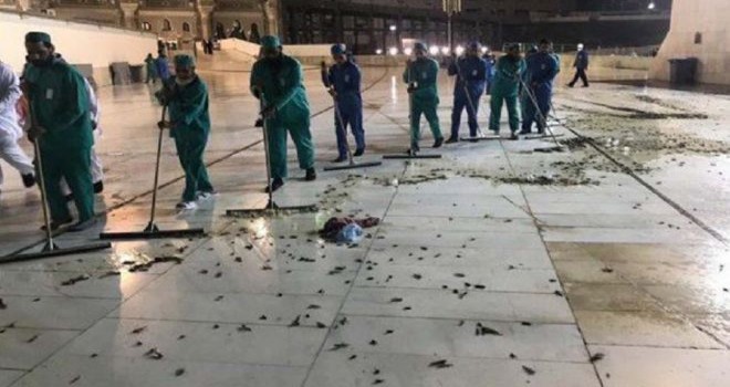 Medine'yi böcekler ve çekirgeler İstila etti