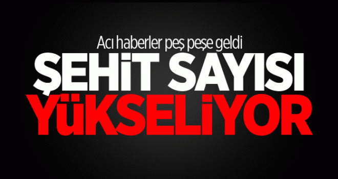 Nusaybinde 4 asker şehit