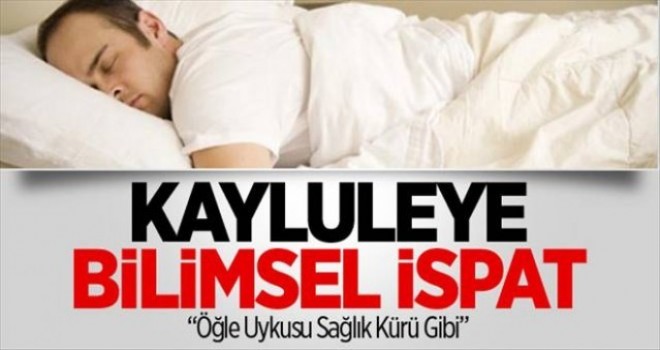 Kaylule Uykusunun Bilimsel Faydaları