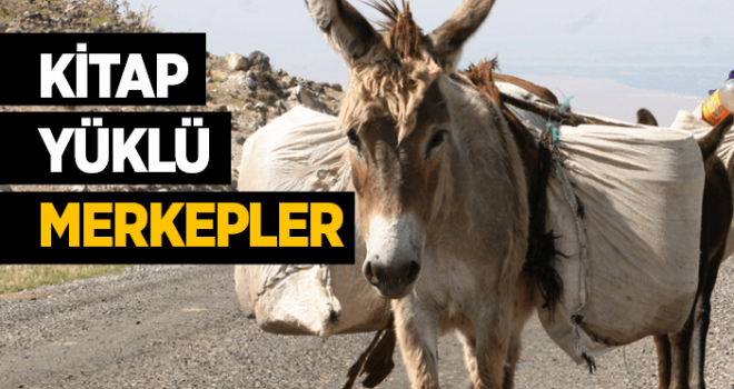 Kitap Yüklü Merkepler!