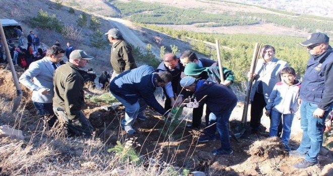 Her Hafız Bir Fidan Etkinliği Kapsamında Fidan Dikildi