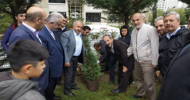 Küçükçekmece Müftülüğü'nden fidan dikimi