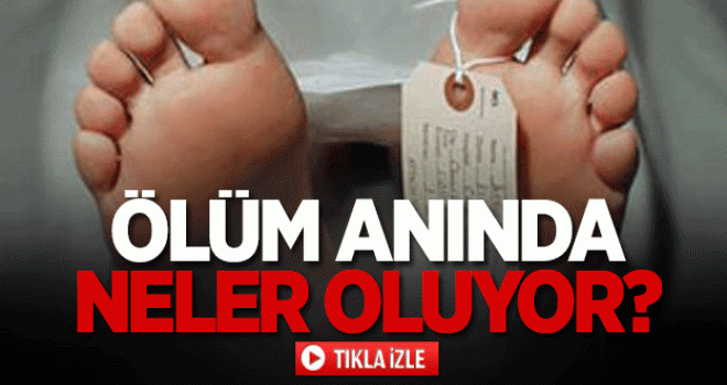 Ölüm anında neler oluyor?