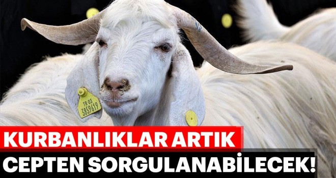 E-KurbanlIk