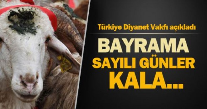 Diyanet Vakfı kurban fiyatlarını açıkladı
