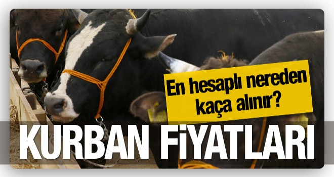 Kurbanlık fiyatları 2016 Carrefour - Kipa - Migros - Real