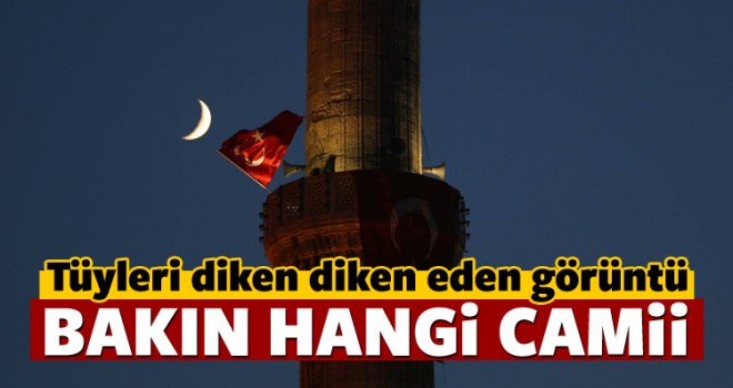 Tüyleri Diken Diken Eden Görüntü
