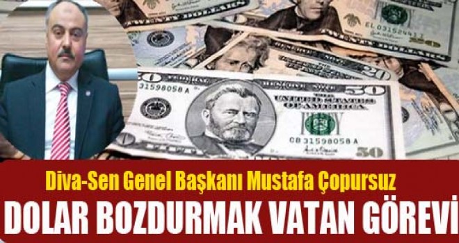 Diva Sen,Dolar bozdurmak VATAN GÖREVİ