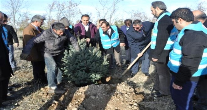 Müftü Kulaz, Hatıra Ormanına Ağaç Dikti