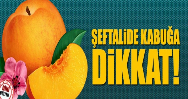 Şeftali Kabuğunun Yararları