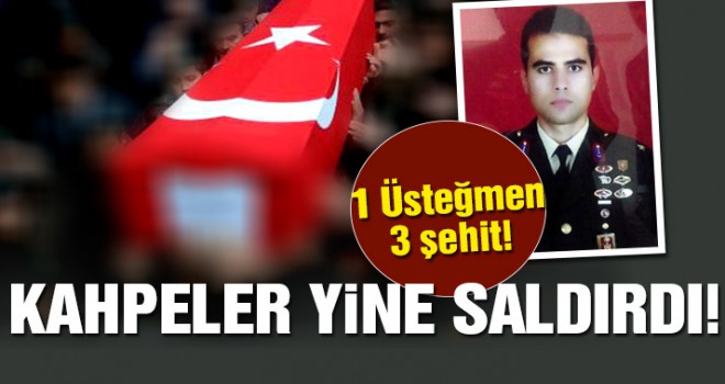 Mardin Dargeçit'ten acı haber: 3 şehit