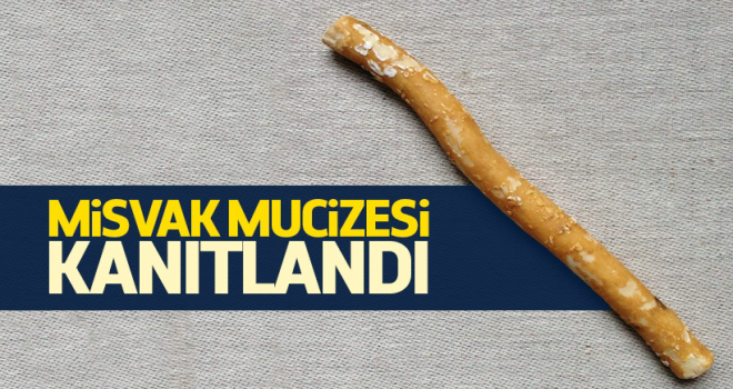 Misvağın Bilimsel Faydaları