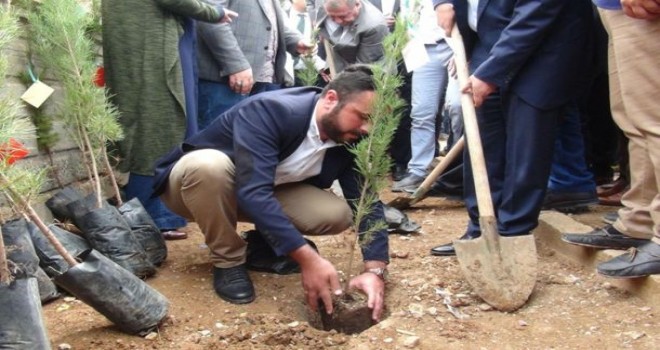 Salavatlar Eşliğinde Fidan dikimi