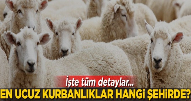 En ucuz kurbanlıklar hangi şehirde satılıyor?