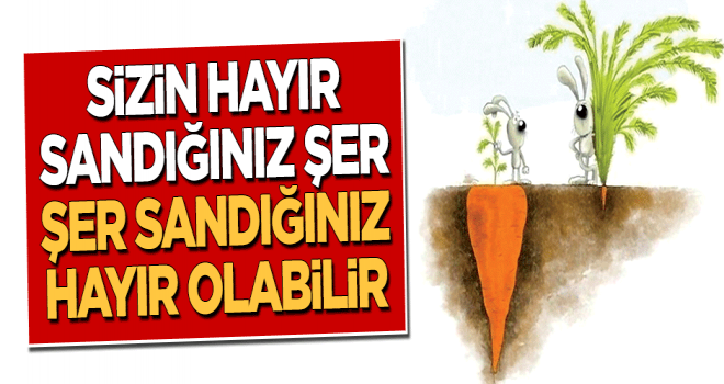 Her hayırda bir şer, her şerde bir hayır vardır...