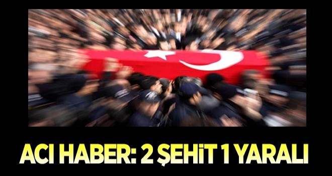 Mardin'den acı haber,2 Şehit