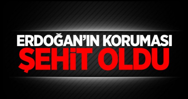 Erdoğan’ın koruması Necdet Alıcı’ da şehit oldu
