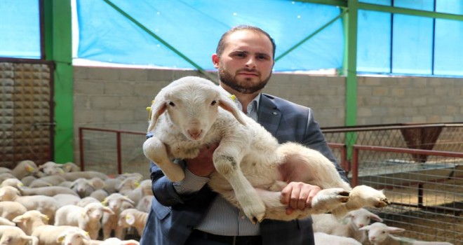 Cami imamı, görev yaptığı ilçeye koyun çiftliği kurdu!