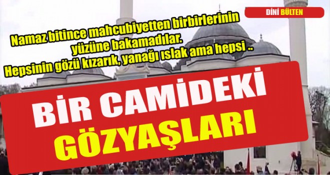 Amarikadaki camide gözyaşları