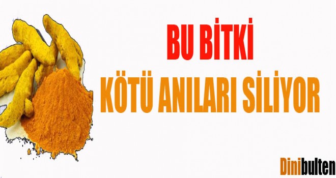 Zerdeçal ,kötü anıları siliyor