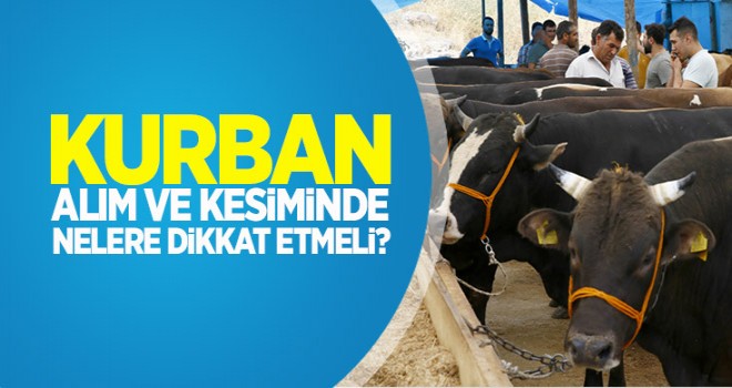 Kurban nelere dikkat etmeli?