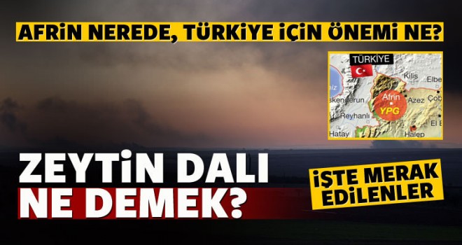 Afrin nerede, 'Zeytin Dalı' ne demek?