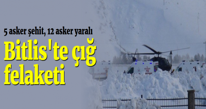 Bitlis'te Çığ Faciası: 5 Şehit