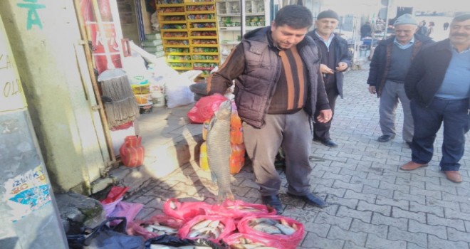 Atanamayan Vekil İmam Yakaladığı Balıkları Satarak Geçiniyor