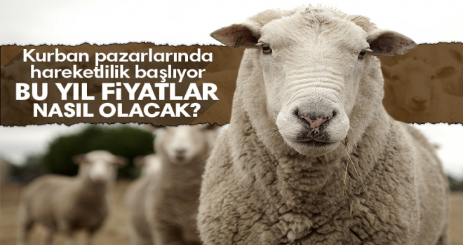 Kurbanlık ,Alımlarında ve Kesimlerinde Dikkat Edilecek Hususlar