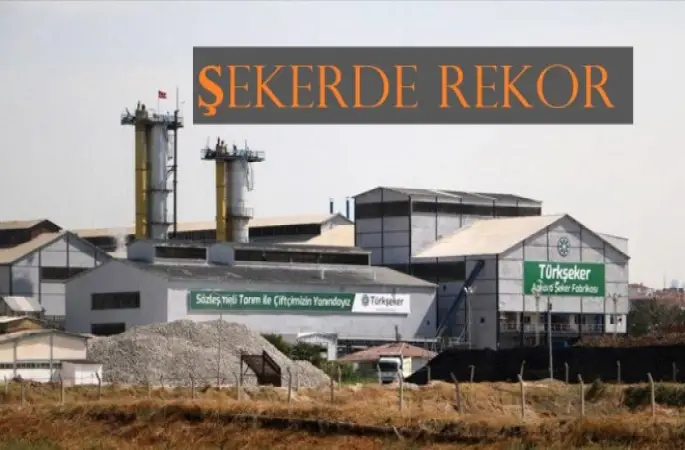 Şeker Üretiminde Rekor
