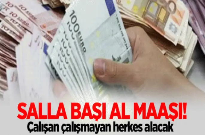 Herkese Maaş Önerisi