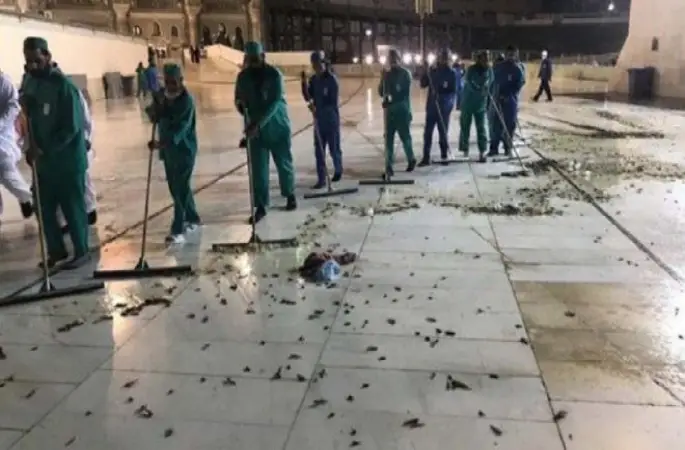 Medine'yi böcekler ve çekirgeler İstila etti