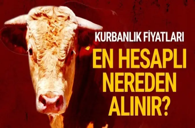 Kurbanlık hayvanların fiyatları açıklandı