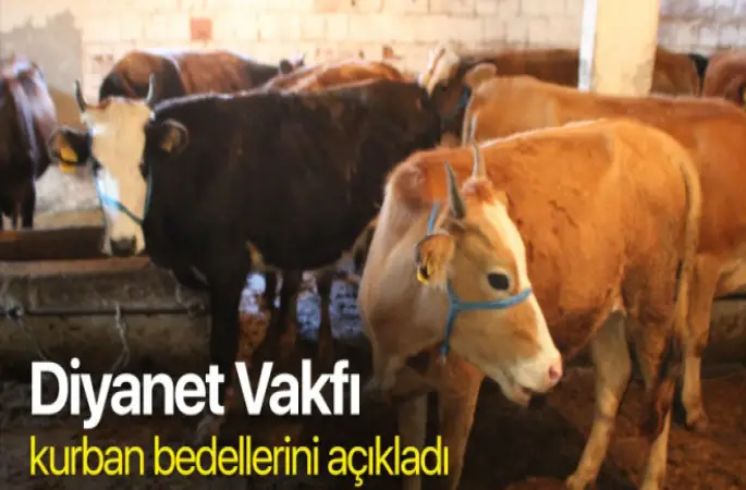 Diyanet Vakfı kurban bedellerini açıkladı!