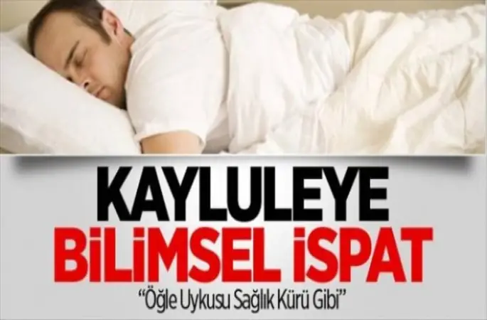 Kaylule Uykusunun Bilimsel Faydaları
