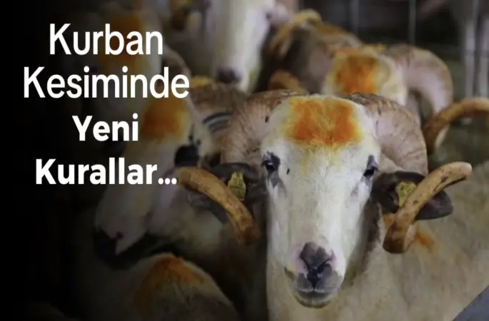 2026 Kurban Hizmetleri Tebliği yayımlandı: Kurban kesimleri için yeni kurallar