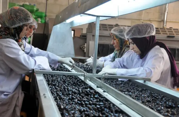 Hacı adayları Türk zeytin ve zeytinyağı yiyecek