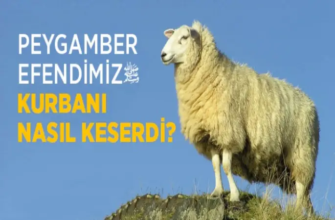 Peygamber Efendimiz Kurbanı Nasıl Keserdi?