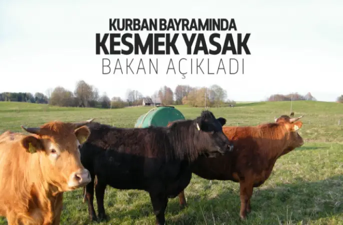 Bakan Çelik'ten 'kurban' açıklaması