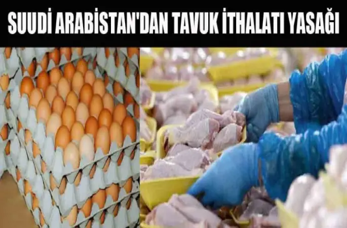 Arabistan'dan tavuk ürünleri ithalatı yasağı