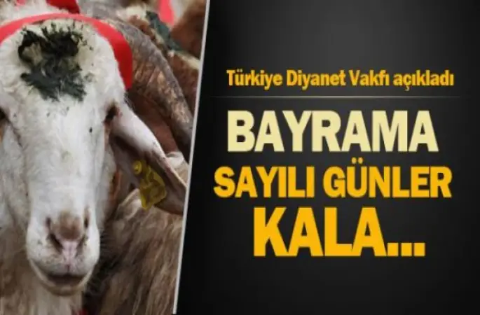 Diyanet Vakfı kurban fiyatlarını açıkladı
