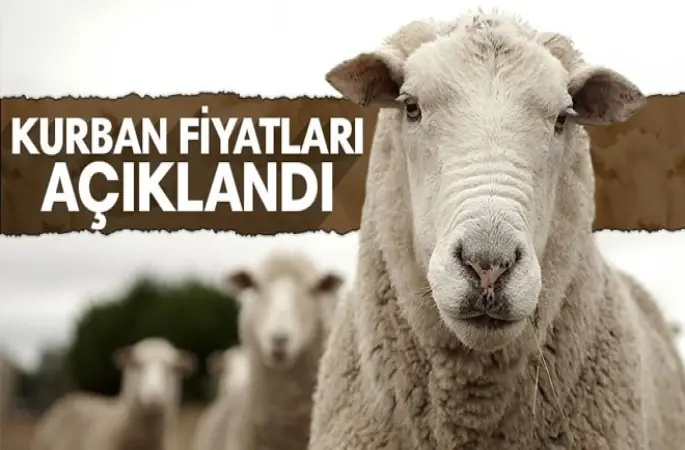 Diyanet Vakfından Vekaletle Kurban Kesim Fiyatları belli oldu