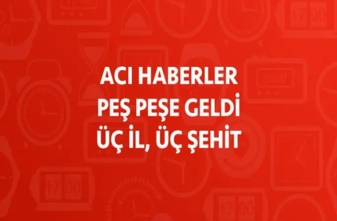 3 Asker şehit oldu