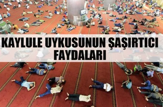 Kaylule Uykusunun Şaşırtıcı Faydaları