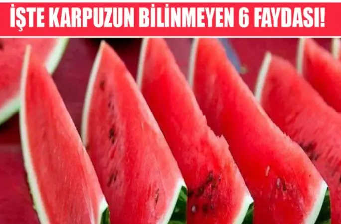 Faydaları Saymakla Bitmiyor