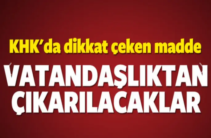 Yeni KHK'larda dikkat çeken madde! Vatandaşlıktan çıkarılacaklar.