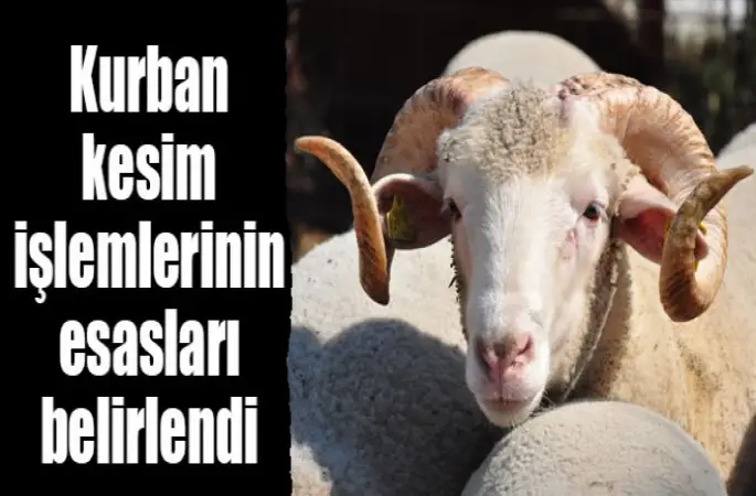 Kurban kesim işlemlerinin esasları belirlendi