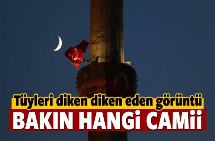 Tüyleri Diken Diken Eden Görüntü